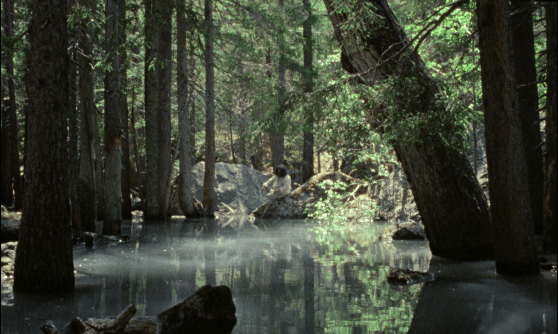 Ever Since, I Have Been Flying